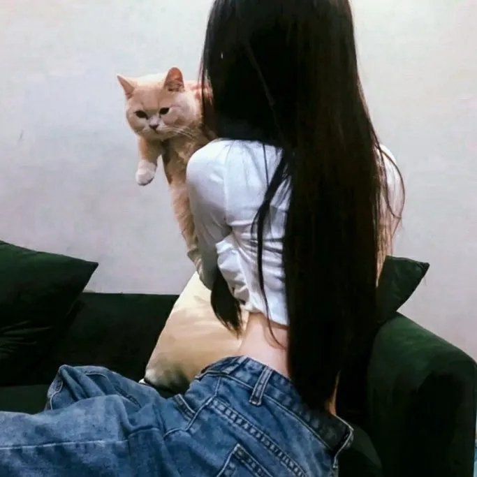 女汉子真爱公式 在线观看