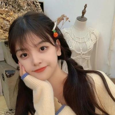 大卫林区:绿野谜踪